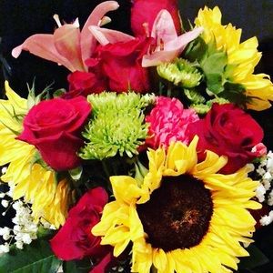 Meet your Posher, Krystal